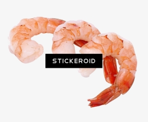 Shrimps - Some Shrimp On Your Tile Coaster