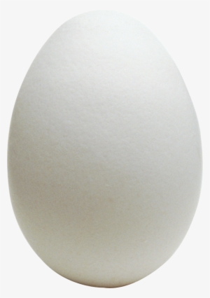 Egg Png Free Download - Egg In Png