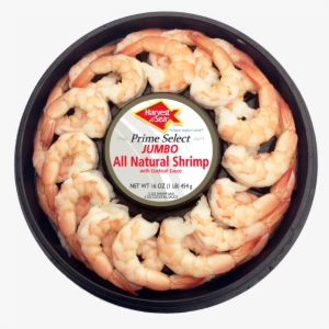 Cocktail Rings - Ore Cal