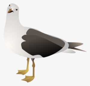 Gull Clip Art