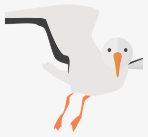 Seagull-600x556 - Illustration