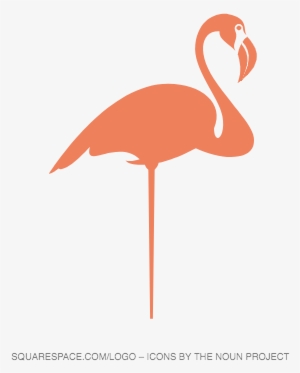 Flamingo Png