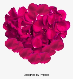 Pink Rose Petals, Rose Clipart, Pink, Rose Petal Png - Rose
