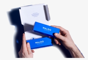 Waldo Contacts - Contact Lens
