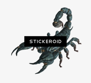 Scorpion Insects Scorpions - Fallout 3 Scorpion