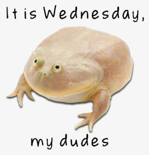 Wednesday My Dudes Png