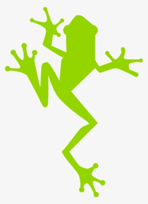 Etf Frog Green - Frog