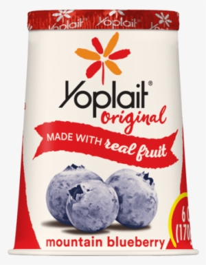 Mounain Blueberry - Yogurt Yoplait