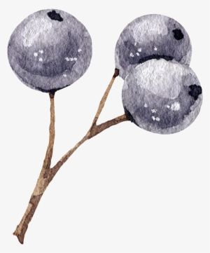 Blueberry