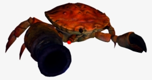 Cannon Crab - Alice In Wonderland Crab