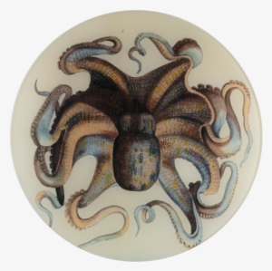 Octopus Octopus - Octopus