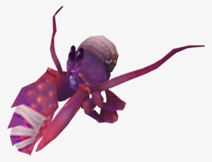 Hermit Crab Runescape
