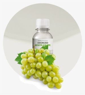 White Grape Deionized Concentrate - Seedless Fruit