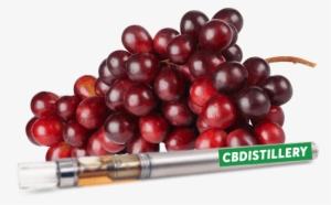 200 Mg Cbd Disposable Vape Pen