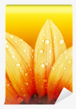 Briller De Sa Propre Lumière