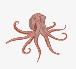 Octopus - Portable Network Graphics