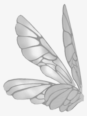 Wings Butterflywings Butterfly Fairy Fairywings - Fairy Wings