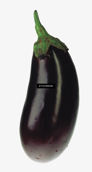 Eggplants Eggplant - Eggplant