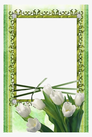 Flower Frame Png Image
