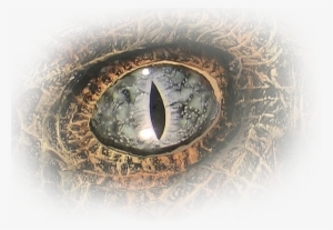 Agility, Speed, Raw Power, Ferocity Features That Are