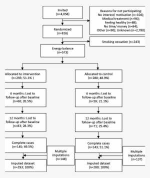 Flow Diagram Through The Phases Of The Health Under - Number