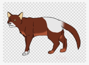 Black Cat With Yellow Eyes Png Clipart Havana Brown - Texas Transparent Background