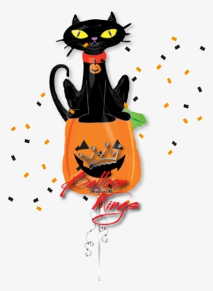 Black Cat - Black Cat Cartoon Halloween