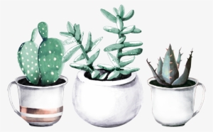 Books - Tropical Fabric - Cactuses In Pots - Green Custom Fabric