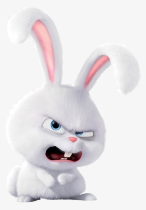 Report Abuse - Rabbit On Secret Life Of Pets Name