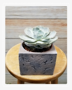 Ceramic