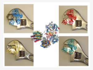 Uggt Is Like A Wrench Glycoproteins Like - Uggt