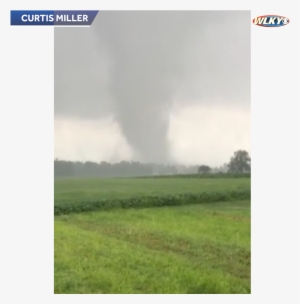 Wlky