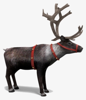 Reindeer Png Picture - Reindeer Png
