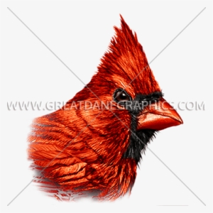Cardinal - Mug