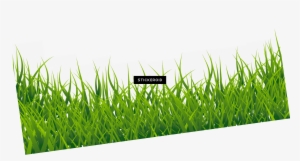 Field - Portable Network Graphics