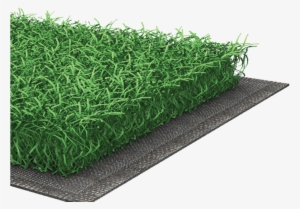 Our Hockey Gold Product Is A Revolutionary Turf System - Field Hockey