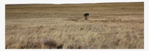 Landscape Png Hd - Tse:mrd