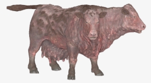 Brahmin - Brahmin Fallout