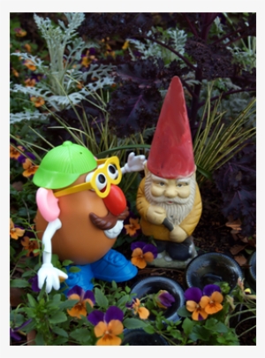 Posted By Felder Rushing On Aug 22, 2014 At - Animal Figure