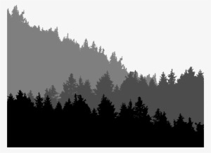 Big Image - Spruce-fir Forest