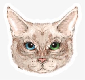Cat Head Sticker - Cat