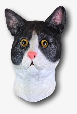 Black & White Cat Mask