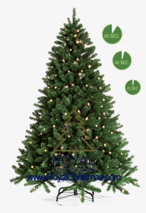 1 Minute Tree Line - Christmas Tree