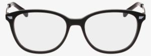 Ray Ban 1531