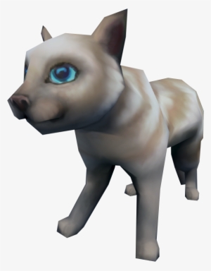 Wiki