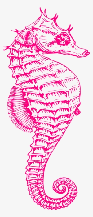 Cute Seahorse Png Download - Teal Seahorse Clipart