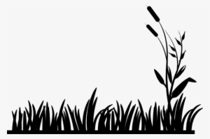 'the Chesapeake Bay Retriever Should Show A Bright - 24" X 36" Custom Coroplast Yard Sign