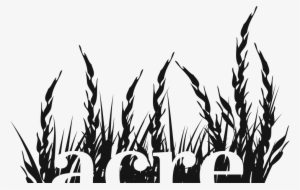 Announcing Acre Books - Acre Books