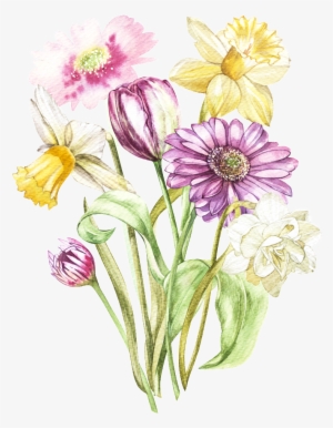 Colorful Hand Drawn Daisy Flower Transparent - Illustration