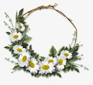 Cheyokota Digital Scraps - Daisies Png Frame